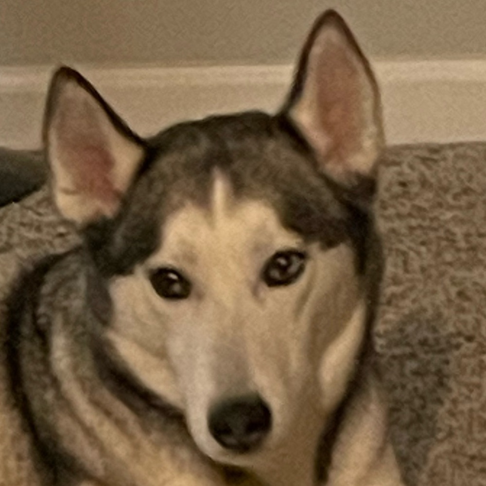 Meet your Posher, Lilianna